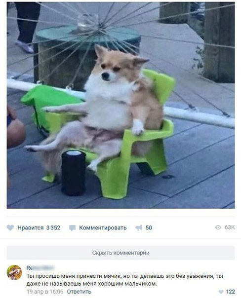 Прикольные комментарии (21 шт) Прикольные комментарии (21 шт)