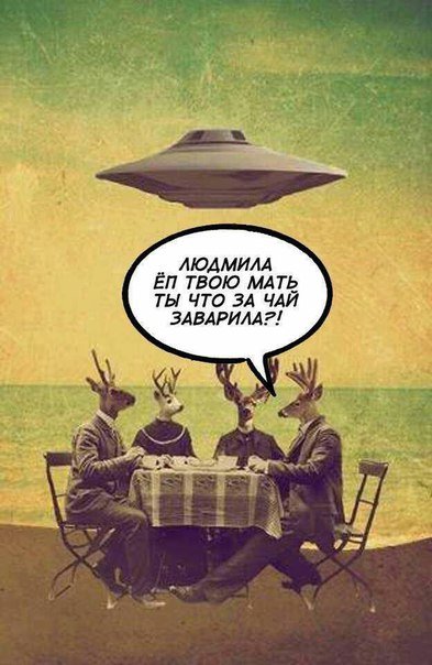 Новые фотомемы на Бугаге (23 шт) Новые фотомемы на Бугаге (23 шт)