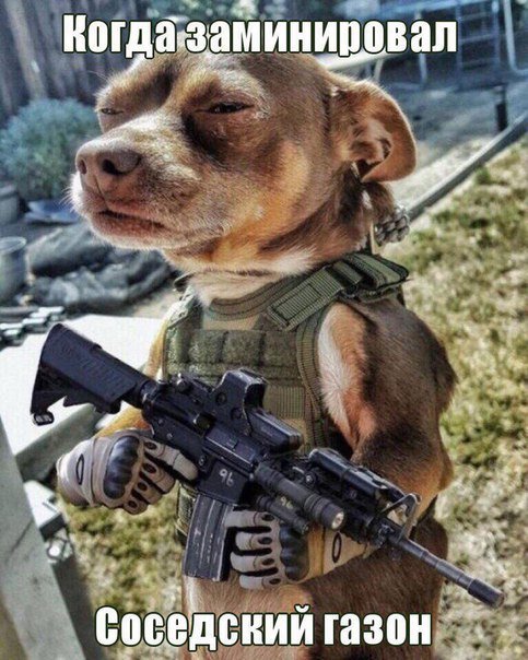 Новые фотомемы на Бугаге (23 шт) Новые фотомемы на Бугаге (23 шт)