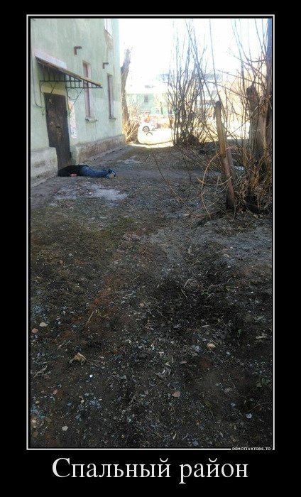 Демотиваторы-приколы (21 шт) Демотиваторы-приколы (21 шт)