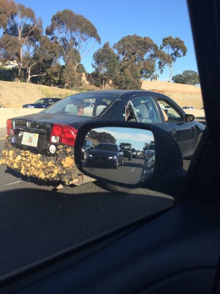 Что здесь происходит?! (24 фото) Что здесь происходит?! (24 фото)