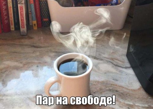 1493269553_fan-33.jpg