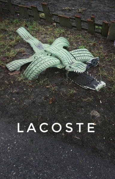 Тем временем в России (20 фото) Тем временем в России (20 фото)