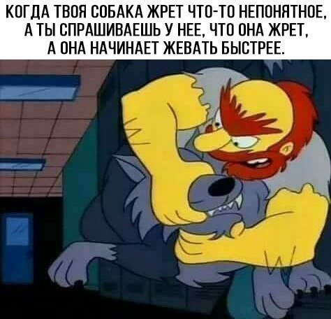 Новые прикольные фотомемы (26 шт) Новые прикольные фотомемы (26 шт)