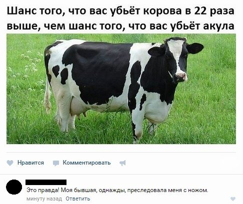 Смешные комментарии для поднятия настроения (25 фото) Смешные комментарии для поднятия настроения (25 фото)