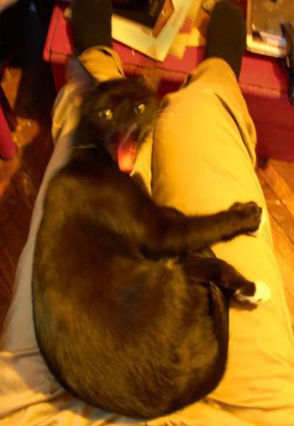 Что здесь происходит?! (20 фото) Что здесь происходит?! (20 фото)