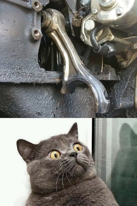 Свежие АВТОприкольные картинки (21 шт) Свежие АВТОприкольные картинки (21 шт)