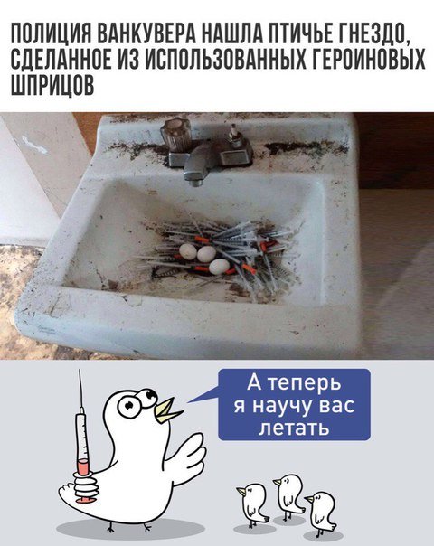 Новые прикольные фотомемы (30 шт) Новые прикольные фотомемы (30 шт)