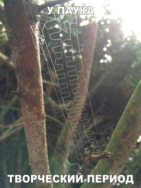 Прикольные фотомемы на Бугаге (26 шт) Прикольные фотомемы на Бугаге (26 шт)