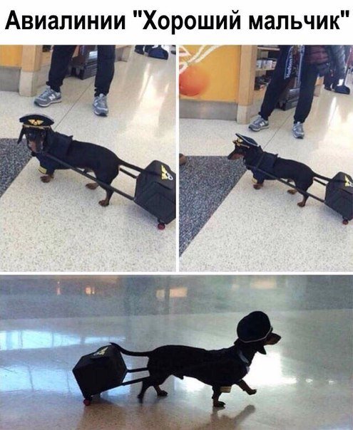 Новые фотомемы на Бугаге (26 шт) Новые фотомемы на Бугаге (26 шт)