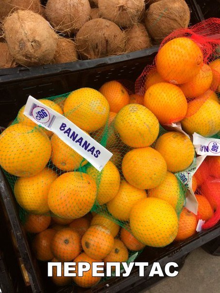 Новые фотомемы на Бугаге (26 шт) Новые фотомемы на Бугаге (26 шт)