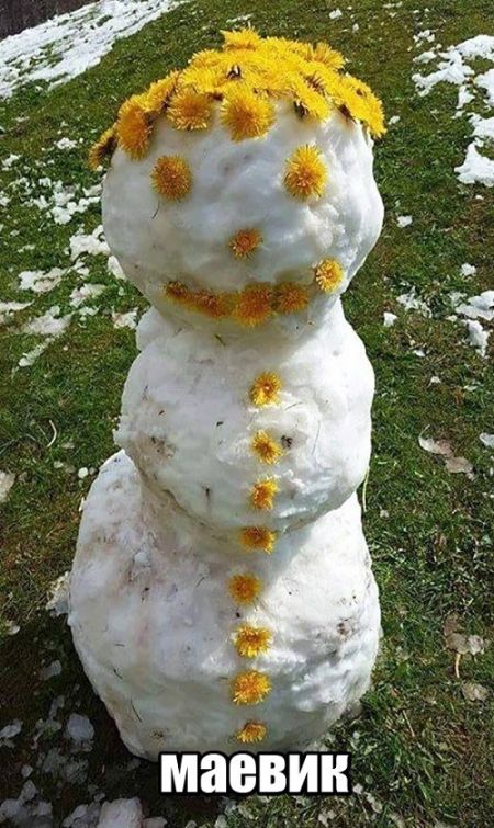 Прикольные картинки дня (50 шт) Прикольные картинки дня (50 шт)