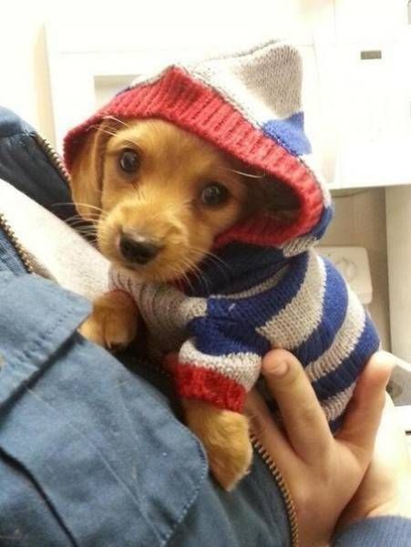 Прикольные картинки дня (50 шт) Прикольные картинки дня (50 шт)