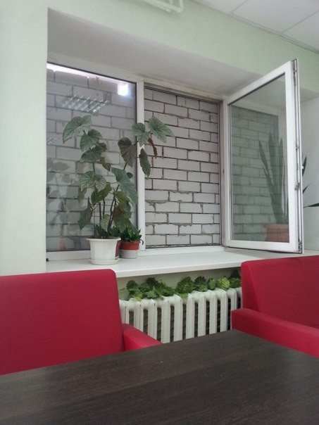 Сплошные казусы да упсы (29 фото) Сплошные казусы да упсы (29 фото)