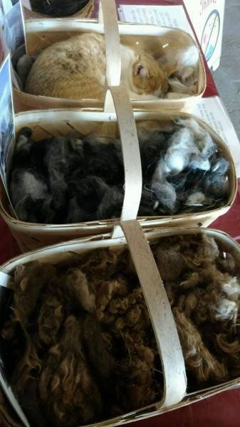 Что-то здесь не так (37 фото) Что-то здесь не так (37 фото)