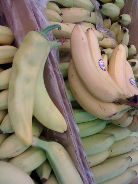 Что-то здесь не так (37 фото) Что-то здесь не так (37 фото)