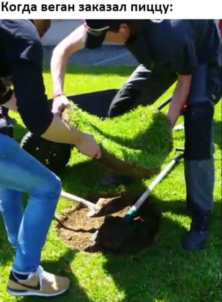 Новые фотомемы (29 шт) Новые фотомемы (29 шт)