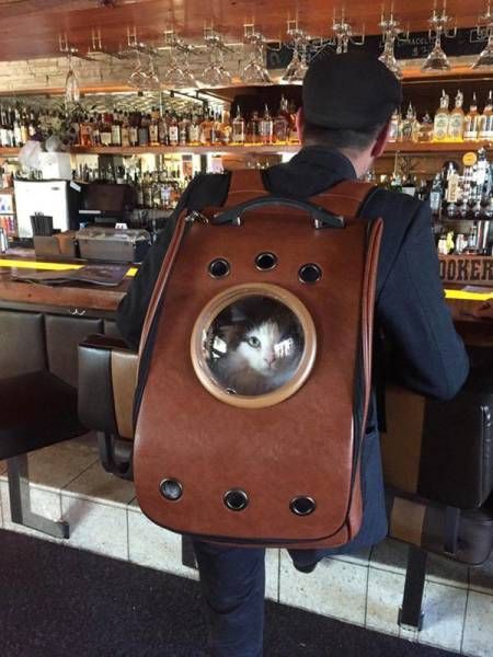 Фото-приколы и картинки (39 шт) Фото-приколы и картинки (39 шт)