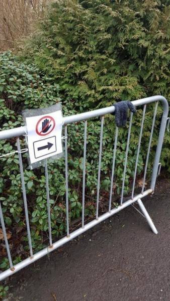 Делаю, что хочу! (20 фото) Делаю, что хочу! (20 фото)