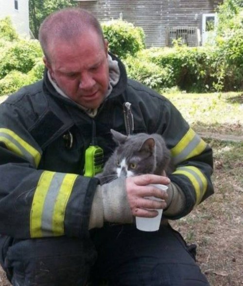 Пожарные спасают жизнь каждого живого существа (38 фото)