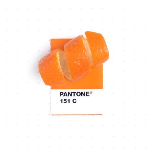 Дизайнер сочетает повседневные предметы с образцами палитры цветов Pantone (18 фото)