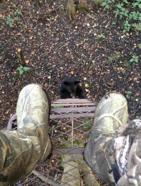 Неудачный день в картинках (34 фото) Неудачный день в картинках (34 фото)