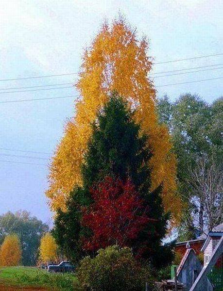 Эмоции и настроение в фотографиях (29 фото) Эмоции и настроение в фотографиях (29 фото)