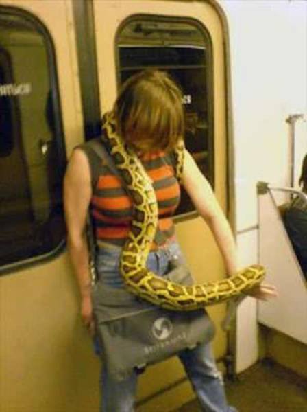 Странные пассажиры в общественном транспорте (17 фото) Странные пассажиры в общественном транспорте (17 фото)
