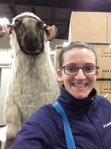 Приколы и маразмы в магазинах: странные товары (28 фото) Приколы и маразмы в магазинах: странные товары (28 фото)