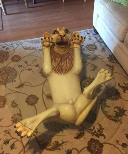 Приколы и маразмы в магазинах: странные товары (28 фото) Приколы и маразмы в магазинах: странные товары (28 фото)