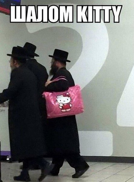 Новые прикольные фотомемы (22 шт) Новые прикольные фотомемы (22 шт)