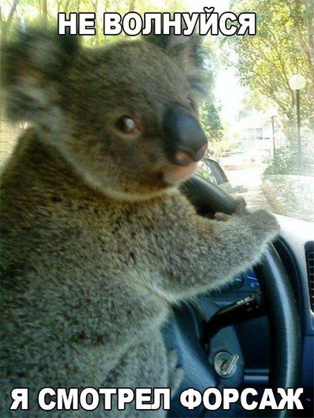 Свежие фотомемы для настроения (22 шт) Свежие фотомемы для настроения (22 шт)