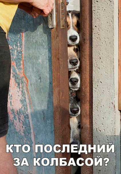 Свежие фотомемы для настроения (22 шт) Свежие фотомемы для настроения (22 шт)