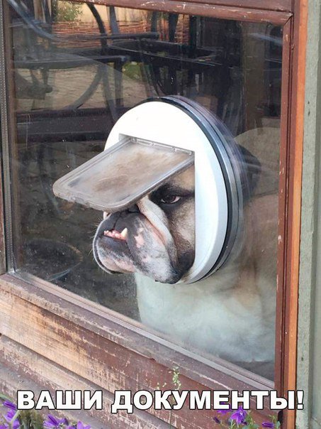 Свежие фотомемы для настроения (22 шт) Свежие фотомемы для настроения (22 шт)