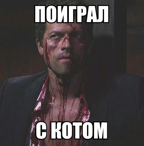 Новые прикольные фотомемы (24 шт) Новые прикольные фотомемы (24 шт)