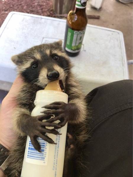 Прикольные картинки пятницы (35 шт) Прикольные картинки пятницы (35 шт)