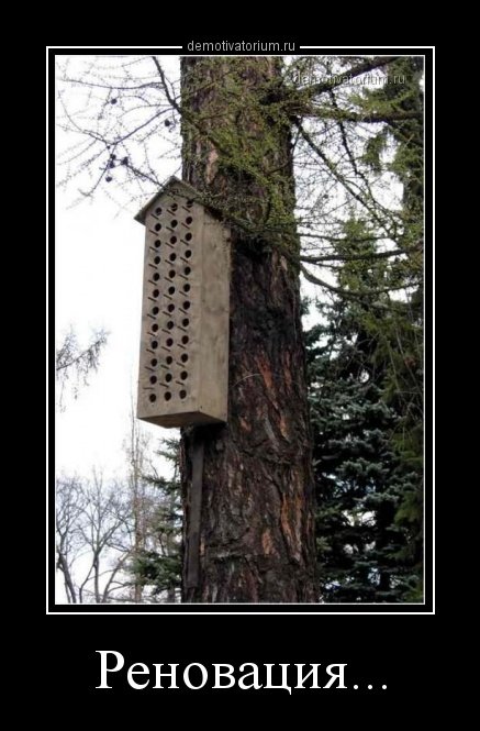 Демотиваторы-приколы для всех (14 шт) Демотиваторы-приколы для всех (14 шт)