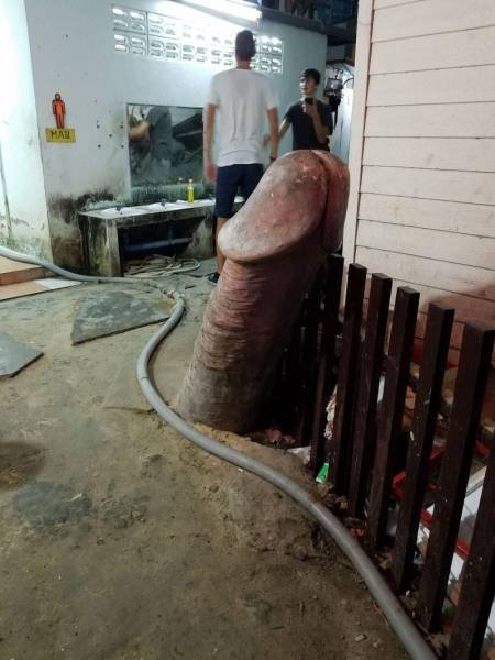 Что здесь происходит?! (33 фото) Что здесь происходит?! (33 фото)