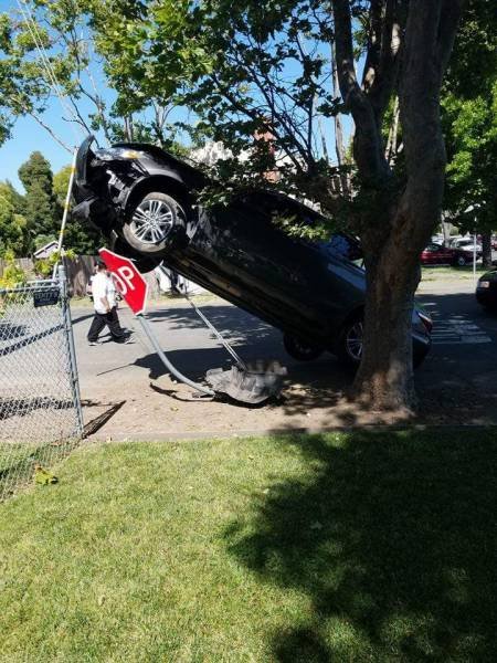 Что здесь происходит?! (33 фото) Что здесь происходит?! (33 фото)