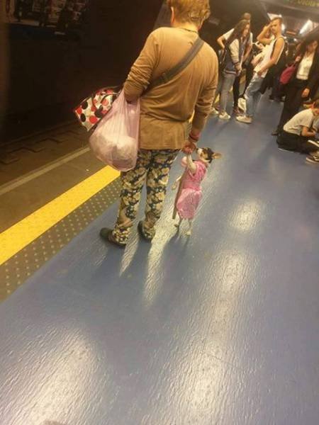 Что здесь происходит?! (33 фото) Что здесь происходит?! (33 фото)