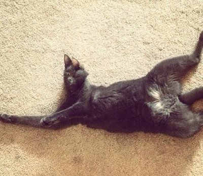 "Что ты такое?", или неудавшиеся панорамные снимки (22 шт) "Что ты такое?", или неудавшиеся панорамные снимки (22 шт)