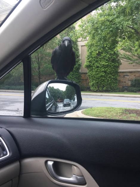 Новые АВТОприколы на Бугаге (16 фото) Новые АВТОприколы на Бугаге (16 фото)