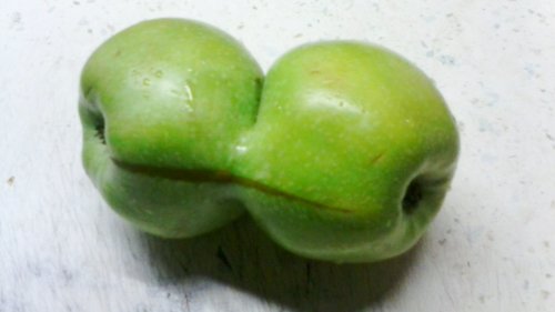 Чудо-яблочко (3 фото)