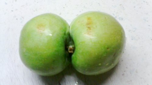 Чудо-яблочко (3 фото) Чудо-яблочко (3 фото)
