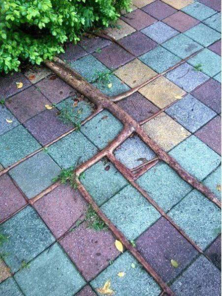 Эмоции и настроение в фотографиях (34 фото) Эмоции и настроение в фотографиях (34 фото)