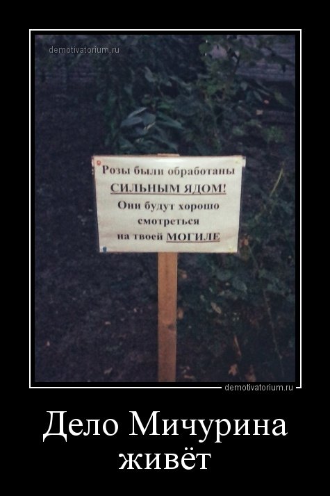 Прикольные демотиваторы для всех (13 шт) Прикольные демотиваторы для всех (13 шт)