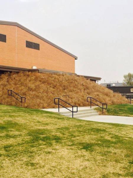 Ветер, ветер, ты могуч… (26 фото) Ветер, ветер, ты могуч… (26 фото)