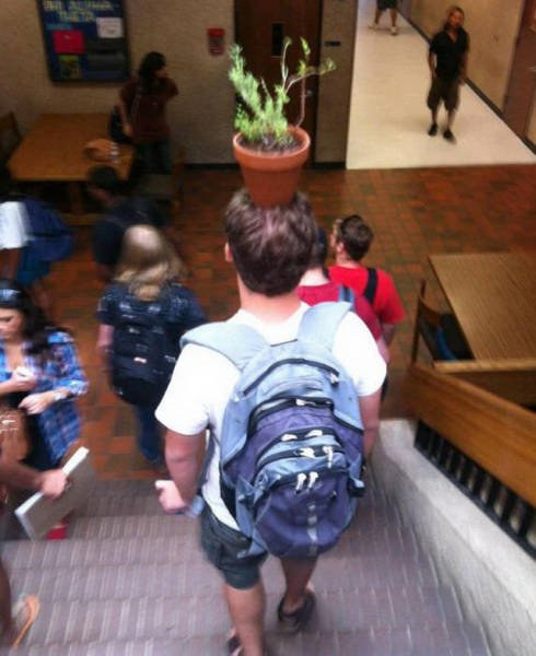 Фотографии, доказывающие, что первые 40 лет в жизни мужчины — самые сложные (33 фото) Фотографии, доказывающие, что первые 40 лет в жизни мужчины — самые сложные (33 фото)