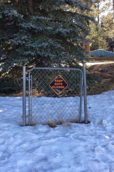 Почти получилось (24 фото) Почти получилось (24 фото)