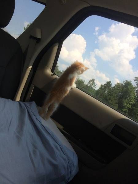 Прикольные картинки дня (30 шт) Прикольные картинки дня (30 шт)